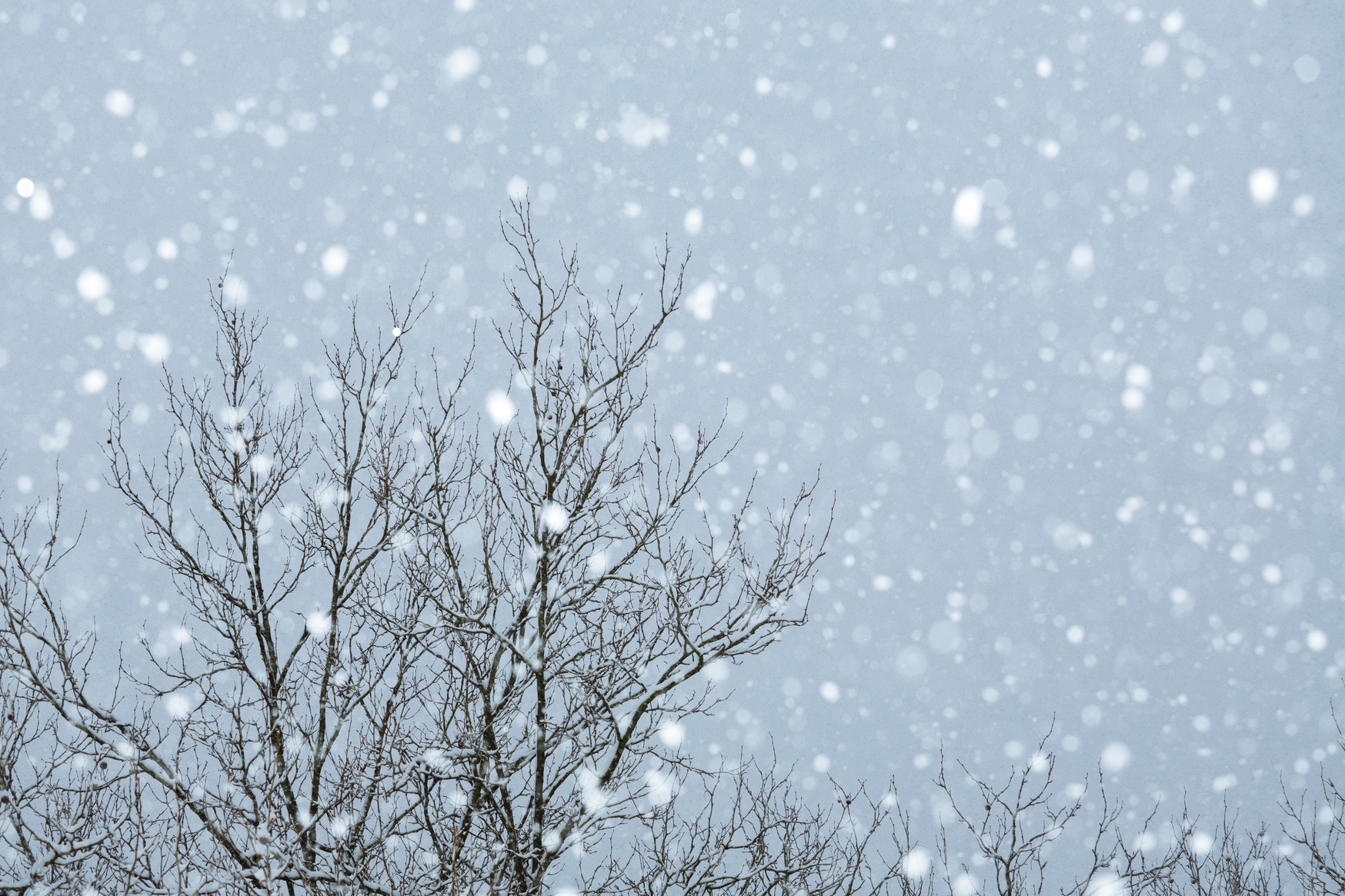 snow falling